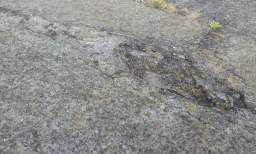 sandymount tower 10985.jpg